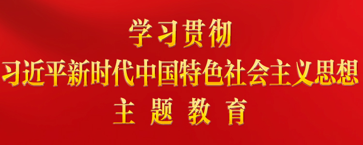 學(xué)習(xí)貫徹習(xí)近平新時代中國特色社會主義思想主題教育